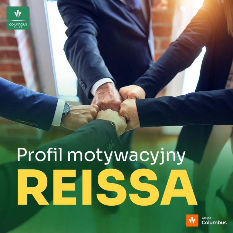 profil motywacyjny reissa