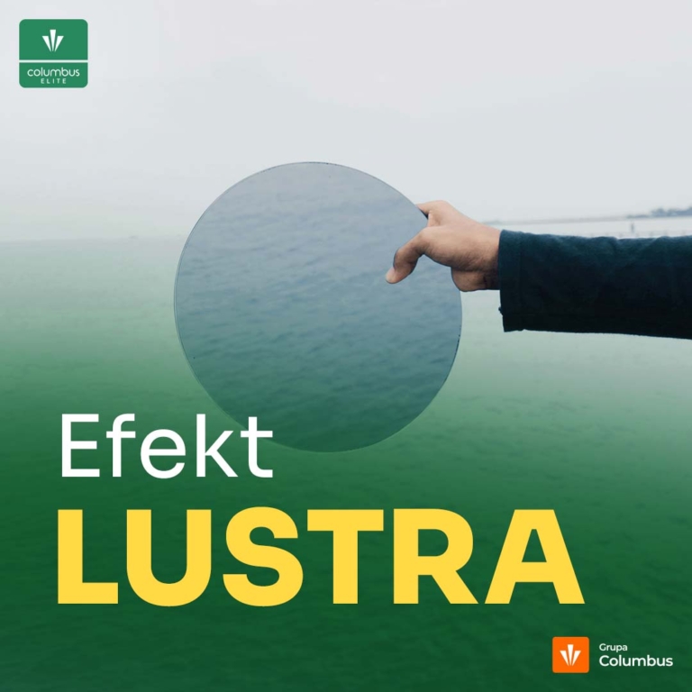 CELITE_Blog-Efekt Lustra_1080x1080px_30012025